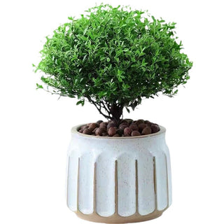 Nordic Simple Striped Flower Pot Green Plant Pot